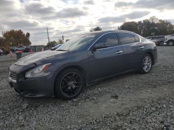  Salvage Nissan Maxima