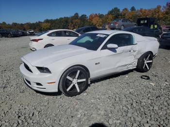  Salvage Ford Mustang