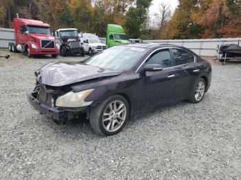  Salvage Nissan Maxima