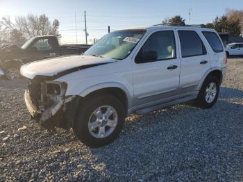  Salvage Ford Escape