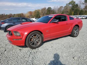  Salvage Ford Mustang