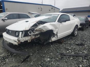  Salvage Ford Mustang