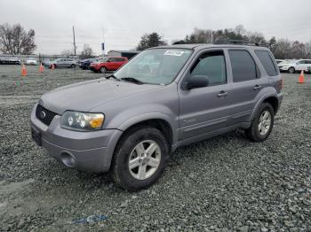  Salvage Ford Escape