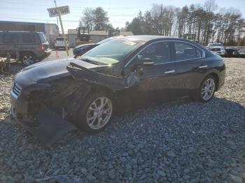  Salvage Nissan Maxima