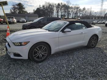  Salvage Ford Mustang