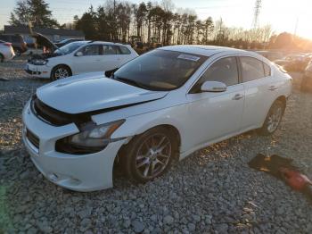  Salvage Nissan Maxima