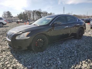  Salvage Nissan Maxima