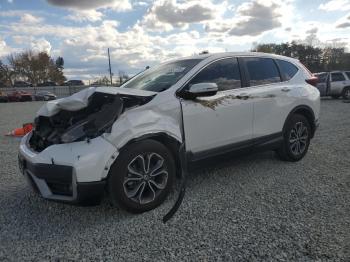  Salvage Honda Crv