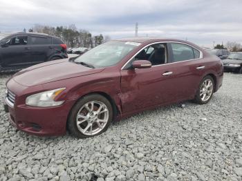  Salvage Nissan Maxima