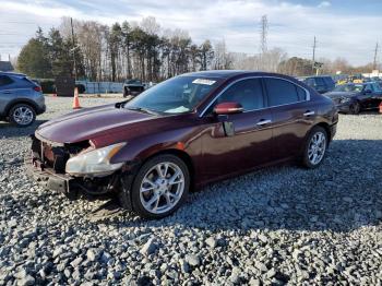  Salvage Nissan Maxima