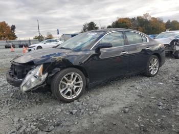  Salvage Nissan Maxima