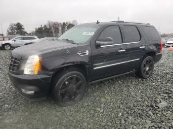  Salvage Cadillac Escalade