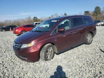  Salvage Honda Odyssey