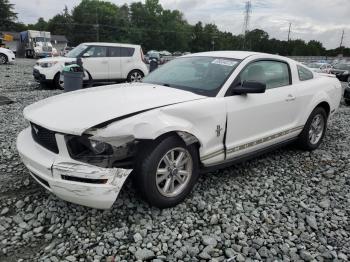  Salvage Ford Mustang