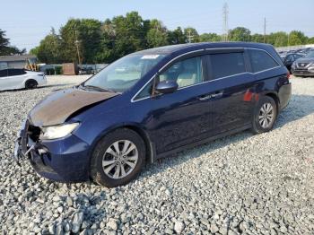  Salvage Honda Odyssey