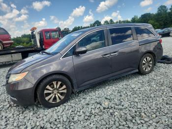  Salvage Honda Odyssey