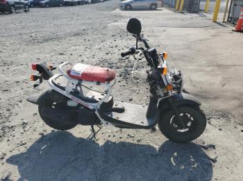  Salvage Honda Ruckus