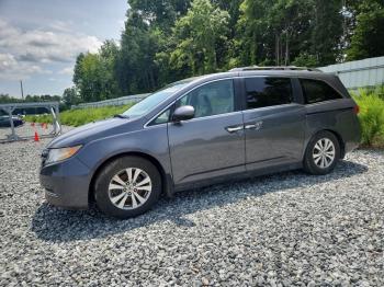  Salvage Honda Odyssey