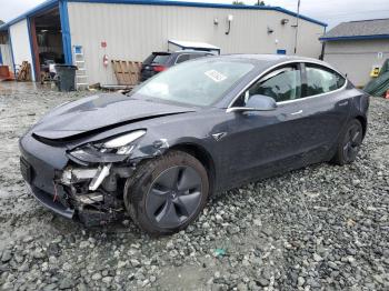  Salvage Tesla Model 3