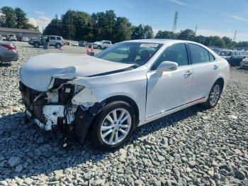  Salvage Lexus Es