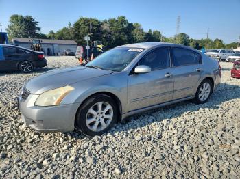  Salvage Nissan Maxima