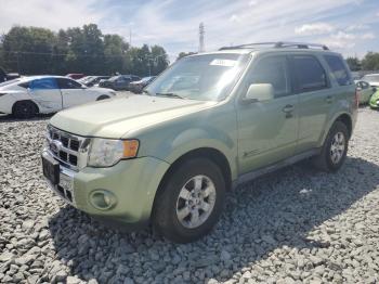  Salvage Ford Escape