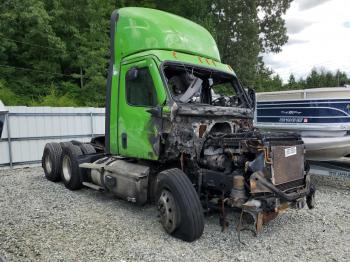  Salvage Freightliner Cascadia 1