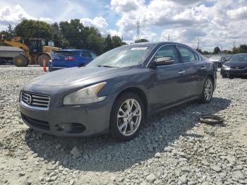  Salvage Nissan Maxima