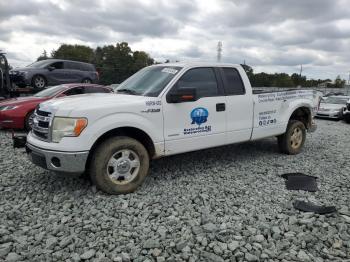  Salvage Ford F-150