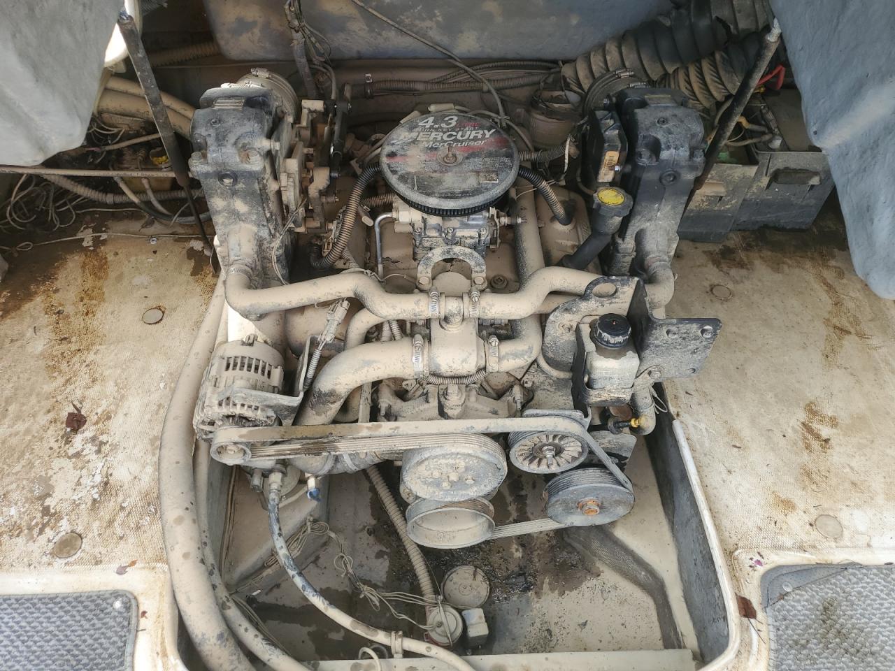 Maxum 1900sr3 Image 5