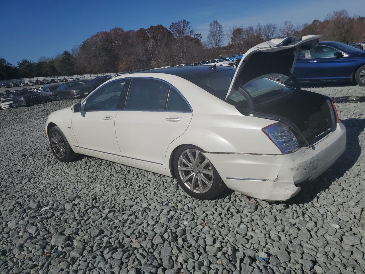 Mercedes-Benz S-Class 350 Bluetec Image 2