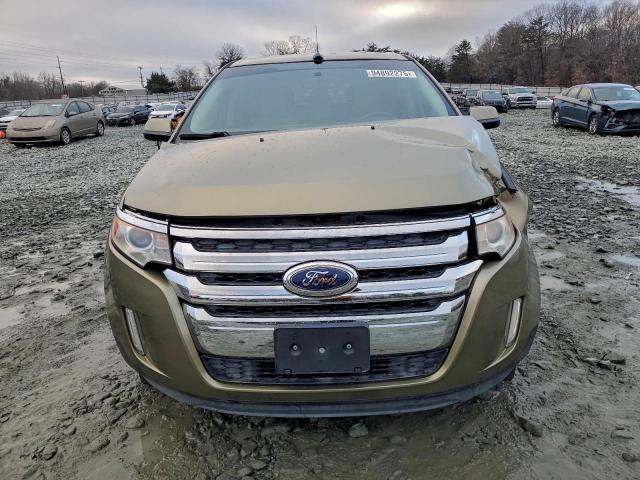 Ford Edge Sel Image 8