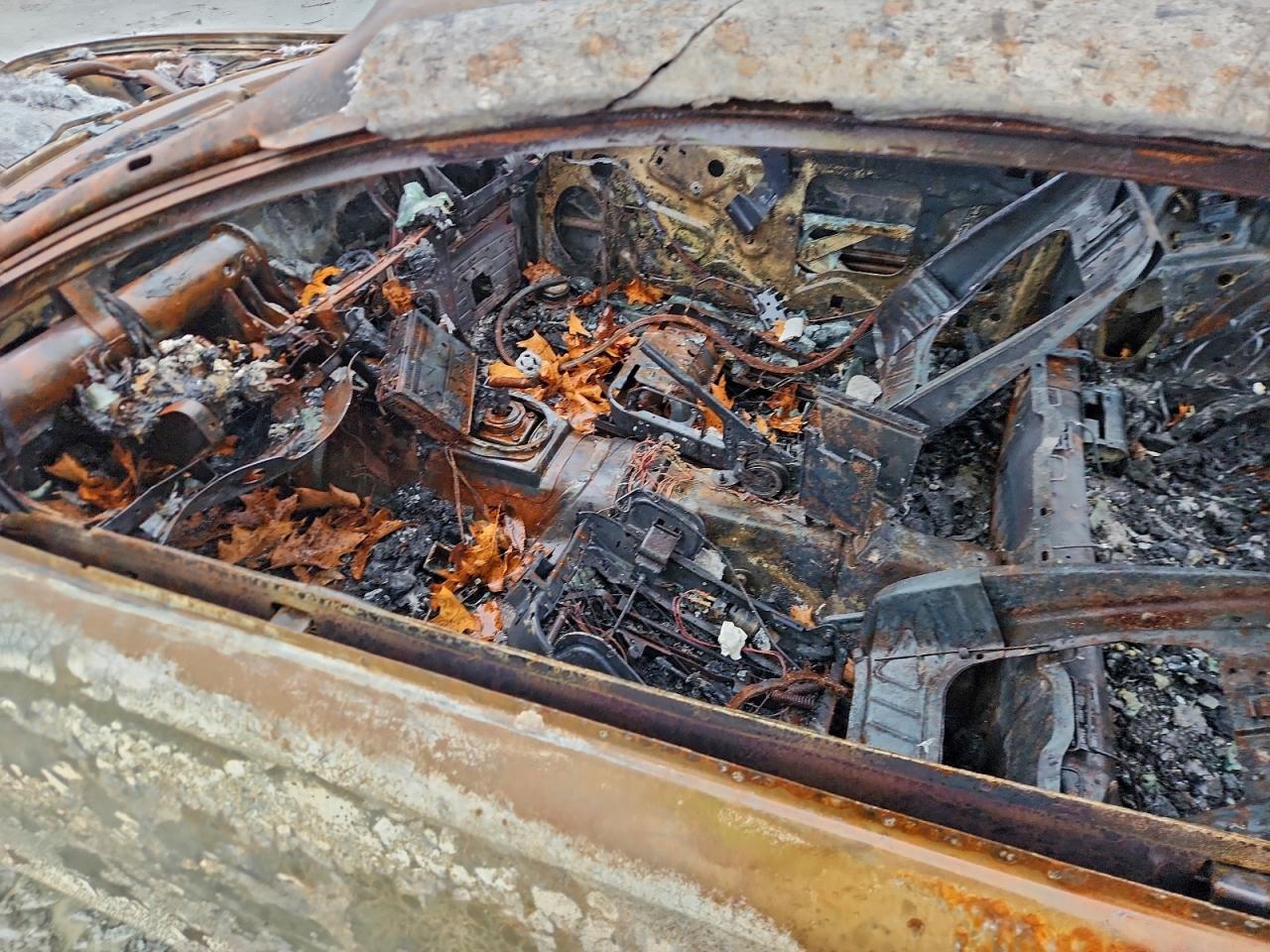 Ford Mustang Gt Image 11