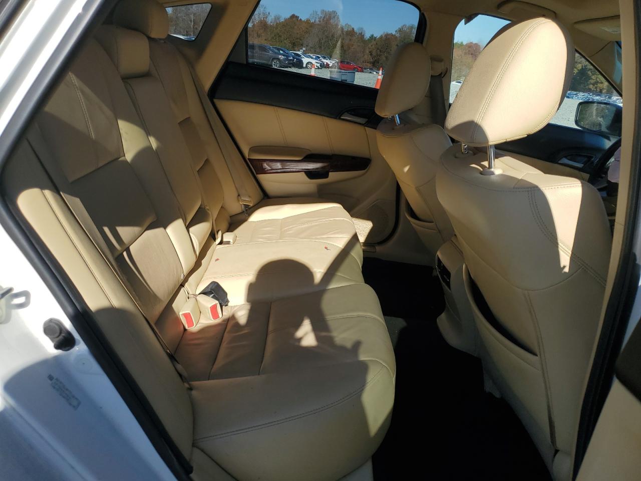 Honda Crosstour Exl Image 3