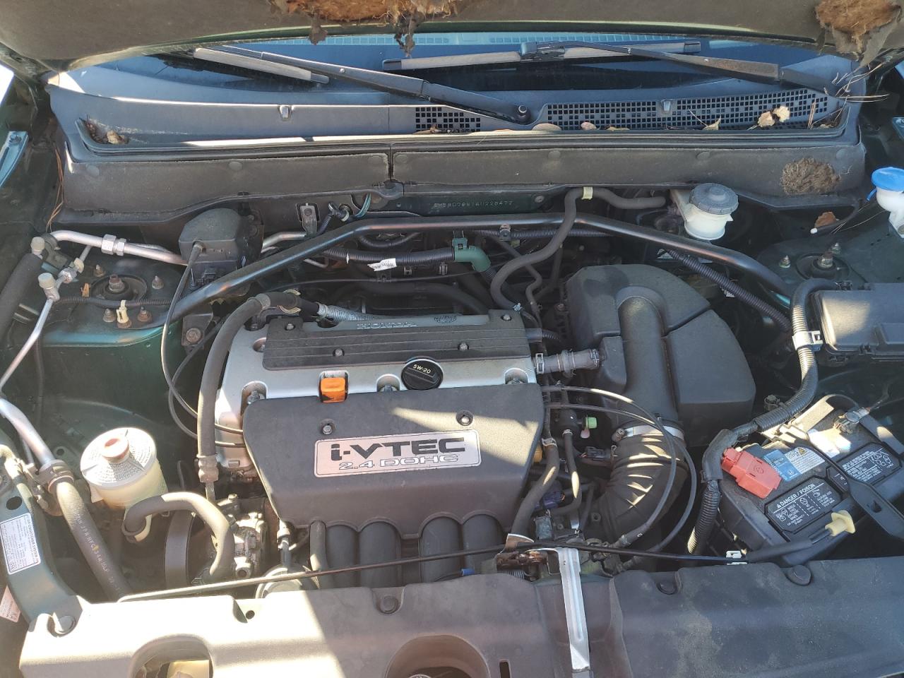 Honda Crv Lx Image 5