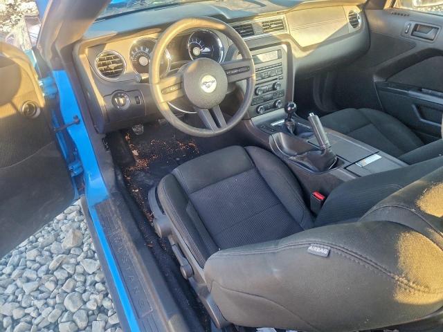 Ford Mustang Gt Image 3