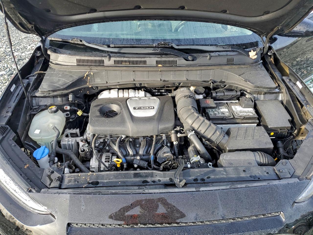 Hyundai KONA Ultimate Image 12