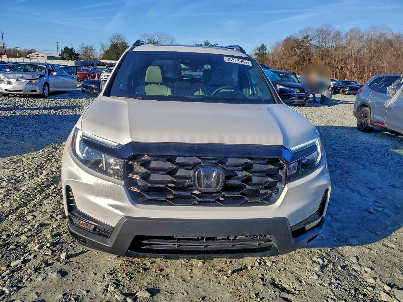 Honda Passport Elite Image 5