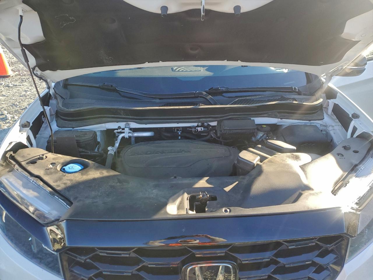 Honda Passport Elite Image 4