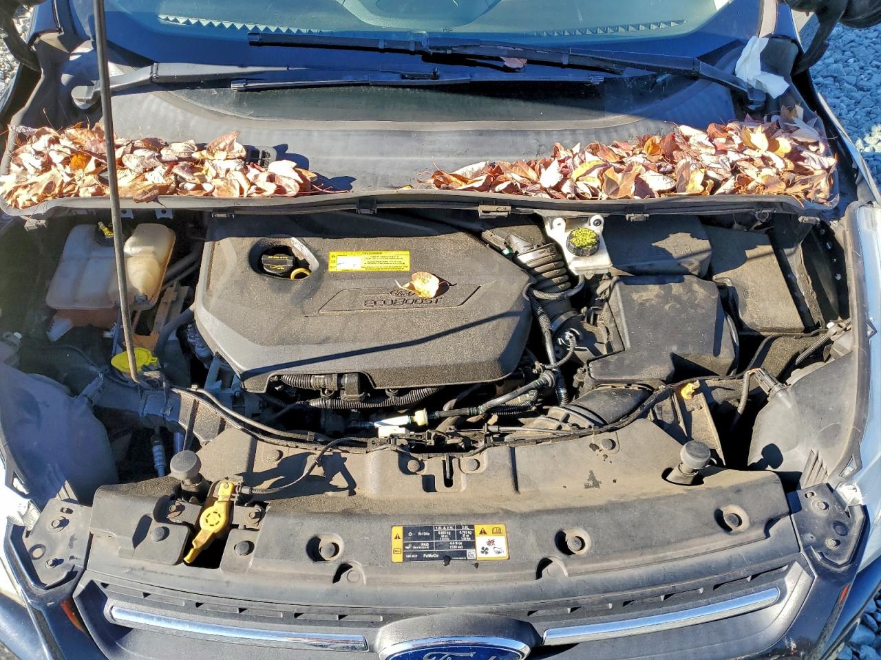 Ford Escape Se Image 9