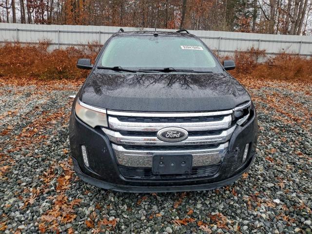 Ford Edge Sel Image 3