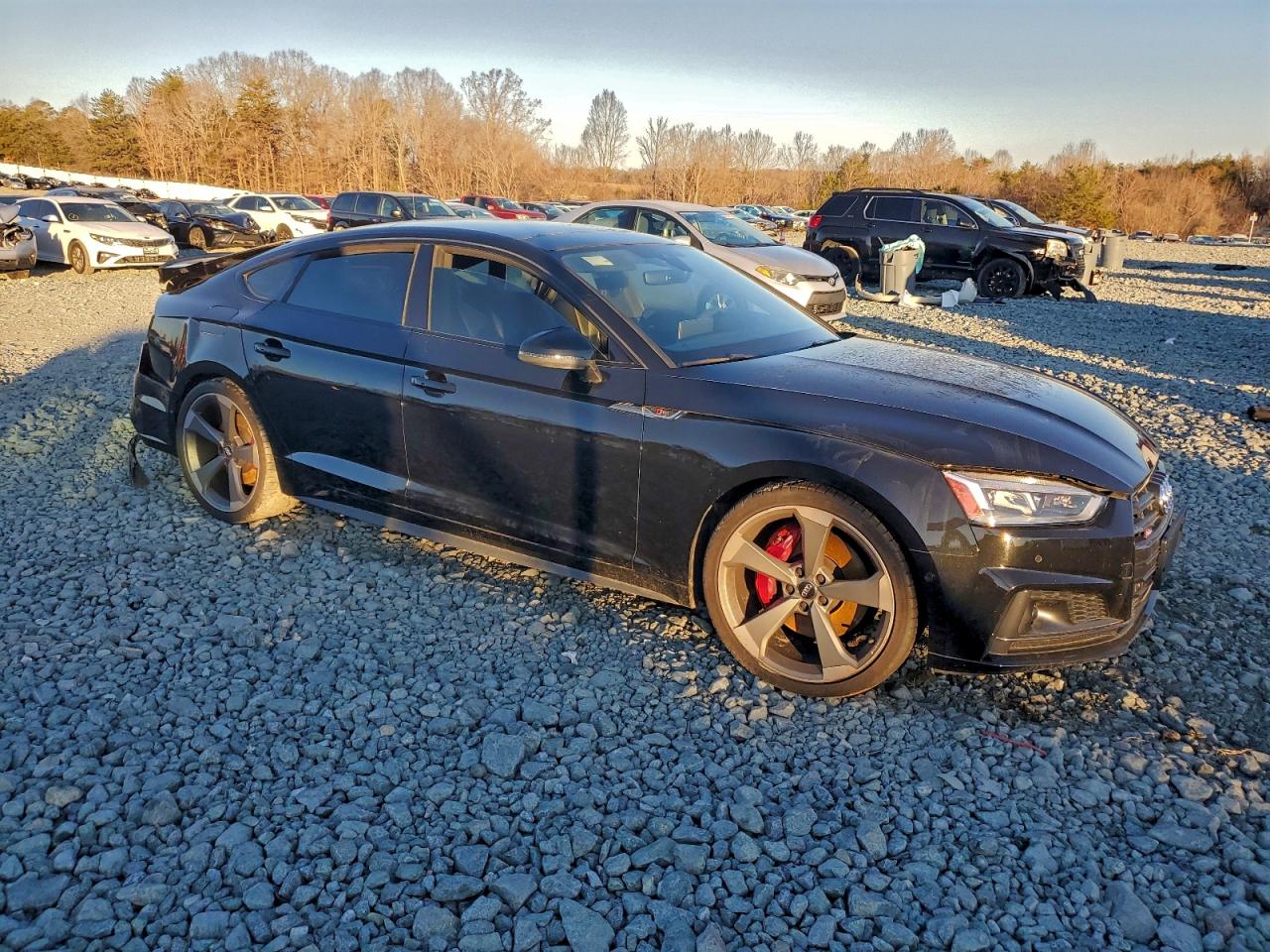 Audi S5 Prestige Image 11