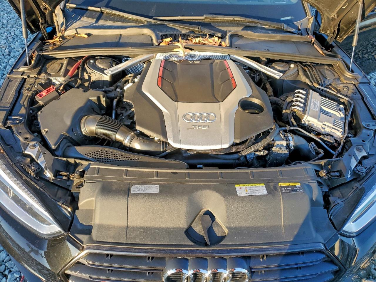 Audi S5 Prestige Image 6