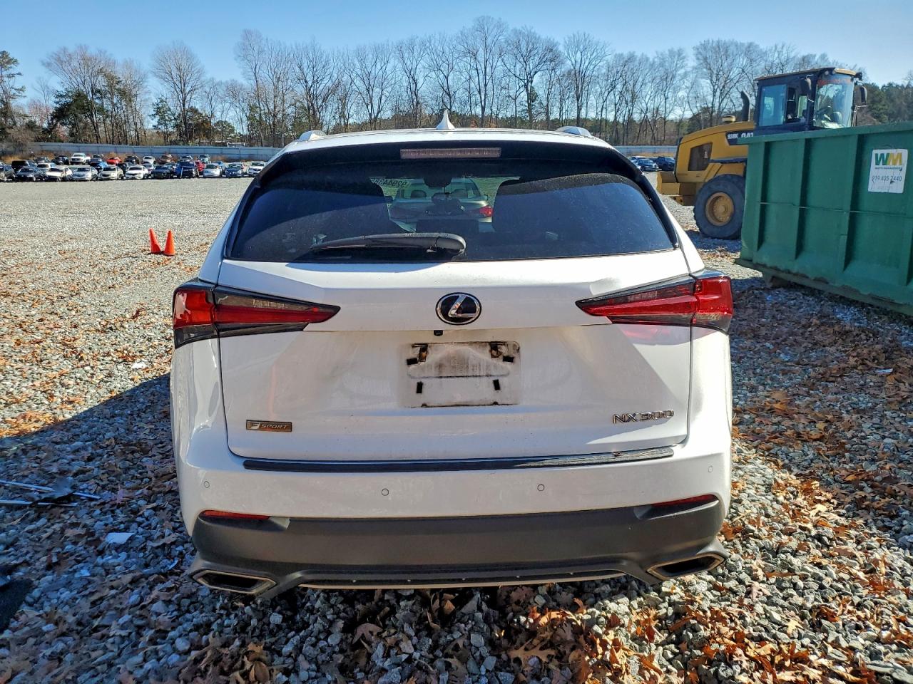 Lexus NX 300 Base Image 12