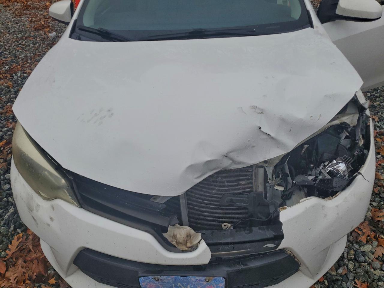 Toyota Corolla L Image 4