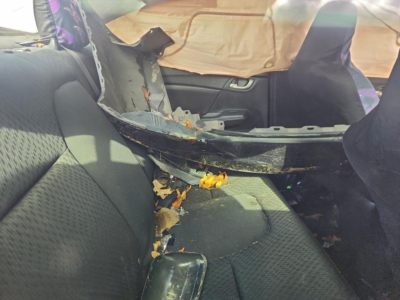 Honda Civic Lx Image 5