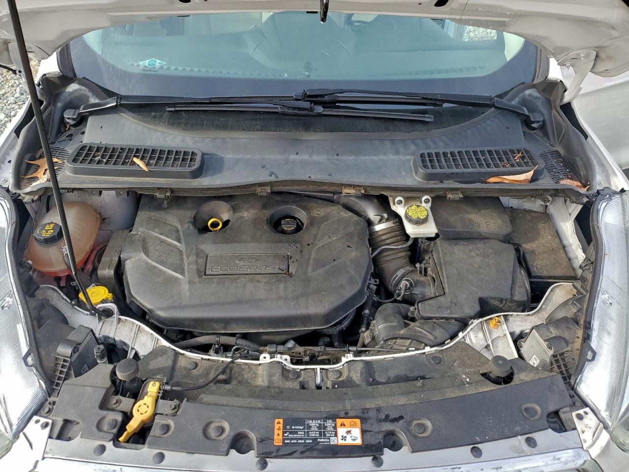 Ford Escape Titanium Image 13