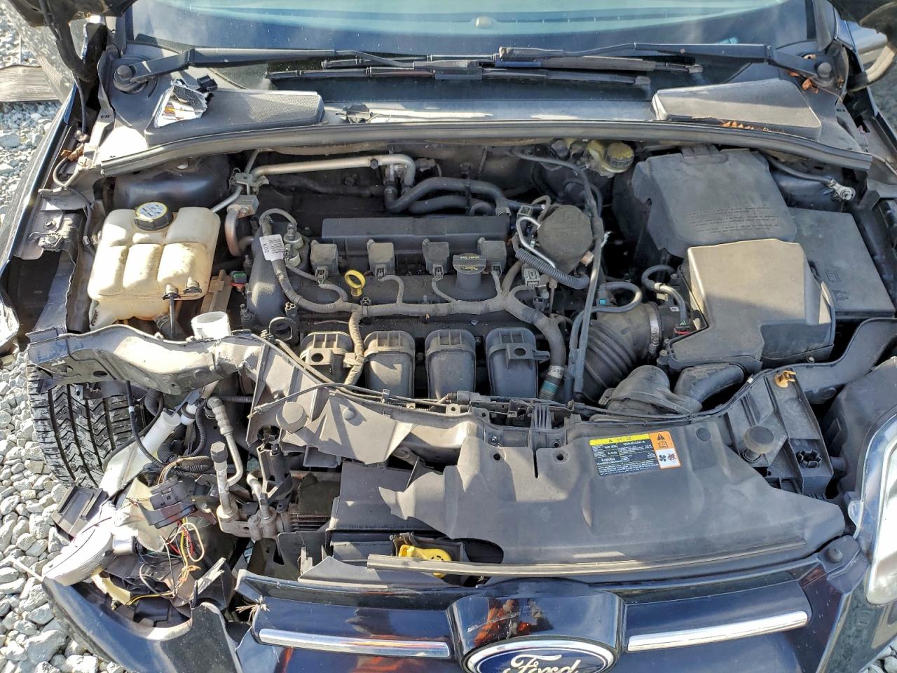 Ford Focus Sel Image 12