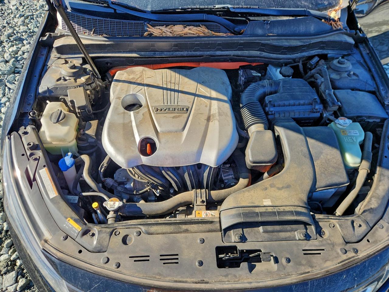 Kia Optima Hybrid Image 12