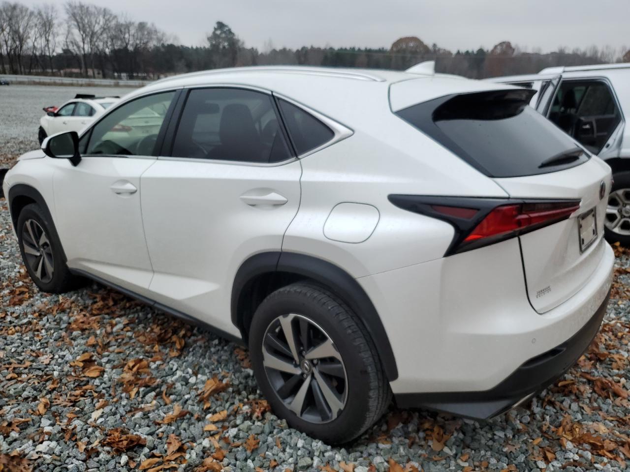 Lexus NX 300 Base Image 5